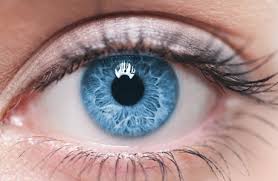 Eyes